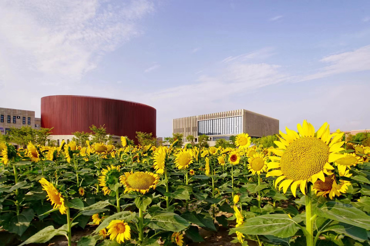 微信图片_20240618132718.jpg 微信图片_20240618132718.jpg