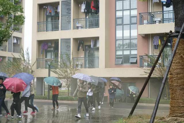 IMG_1626.JPG IMG_1626.JPG