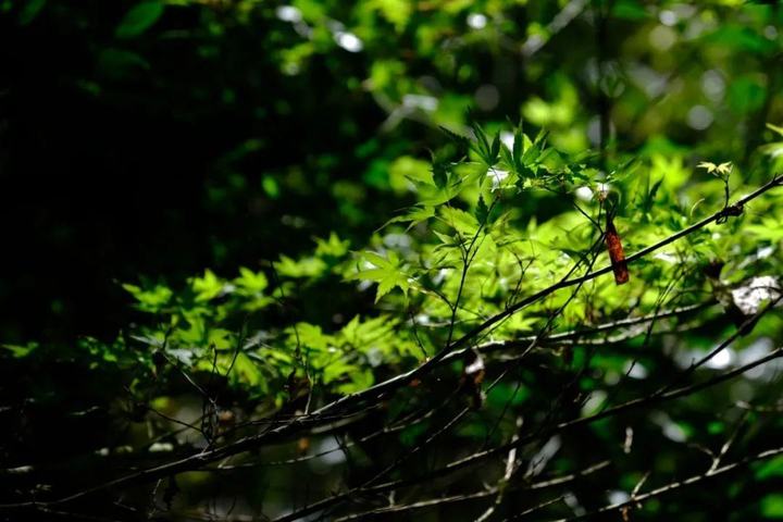 微信图片_20240407131810.jpg 微信图片_20240407131810.jpg