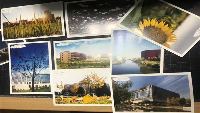 image001.jpg image001.jpg