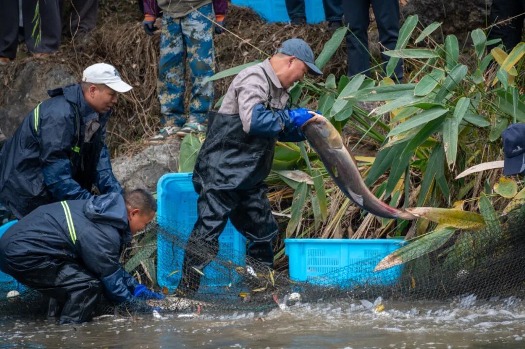 16185077873745.jpeg 16185077873745.jpeg