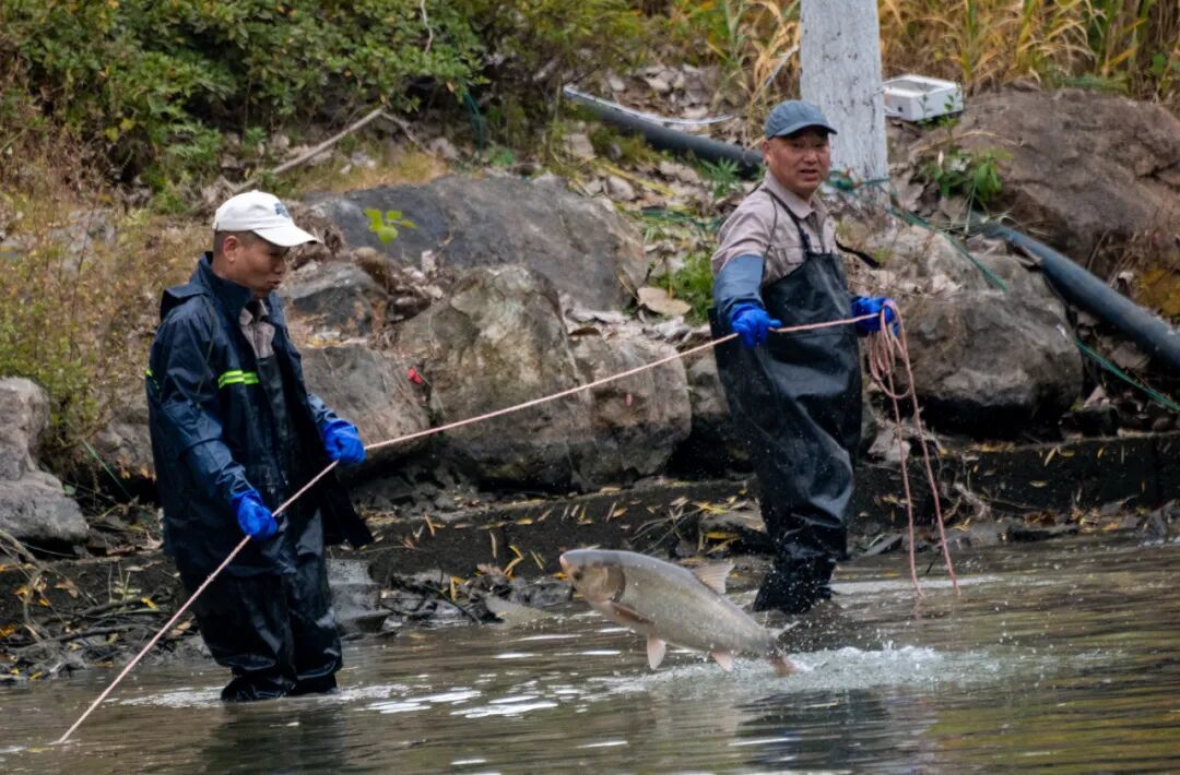 16185077824274.jpeg 16185077824274.jpeg